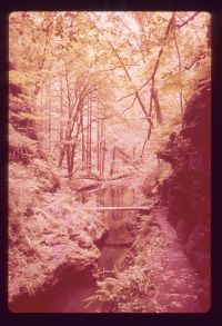 The River Lydd and Lydford Gorge