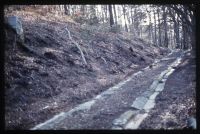 Haytor Tramway - Yarner woods