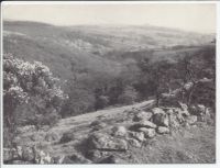 Looking south from high moor