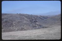 Tavy Cleave from Standon