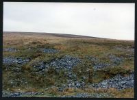 32/21 Tinners Burrows near Wellabrook Stone 25/4/1991