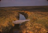 Clapper Bridge over Leat at Walkhampton