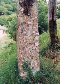 Ladywell Cross