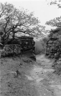 An image from the Dartmoor Trust Archive