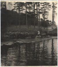 An image from the Dartmoor Trust Archive