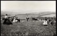 Harvesting at North Wyke