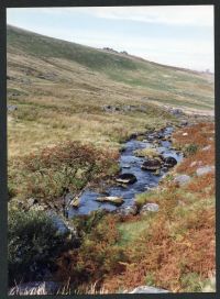 An image from the Dartmoor Trust Archive