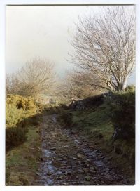 An image from the Dartmoor Trust Archive