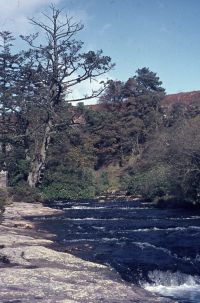 An image from the Dartmoor Trust Archive