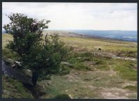 10/29 Above Glascombe corner to Coringdon Ball 29/5/1991