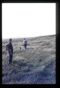 Flat Tor Peat Pass