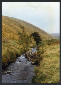 An image from the Dartmoor Trust Archive