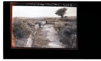 A section of the Plymouth Leat at Clearbrook