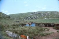 Approaching the Dart Gorge