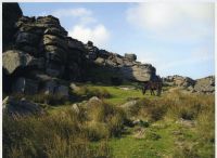 An image from the Dartmoor Trust Archive