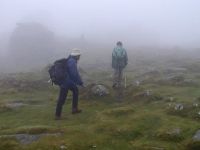 Dartmoor Fog