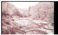 River Dart at Holne Chase