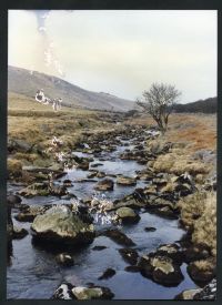 An image from the Dartmoor Trust Archive