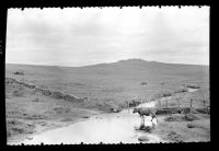 Crossing the Cherry Brook with Bellever Tor in the distance