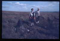 3/4 mile post Zeal Tor tramway, River Avon