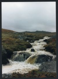 An image from the Dartmoor Trust Archive