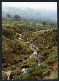 An image from the Dartmoor Trust Archive