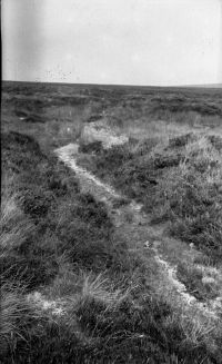 An image from the Dartmoor Trust Archive