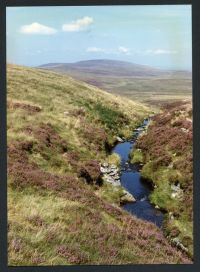 An image from the Dartmoor Trust Archive