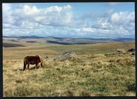 13/64 West of Fox Tor to Mays Newtake 6/10/1991