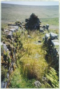 An image from the Dartmoor Trust Archive