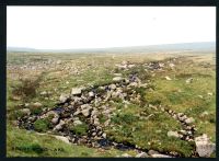 26/36 Above Broad Falls to North and West slope of Ryders Hill 4/7/1991