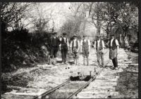 Timber yard and Sawmill