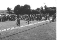 The Childrens Race, Manaton Show