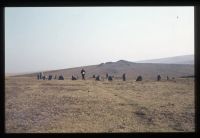 Ringmoor Stone Circle