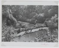 Cockington Lakes