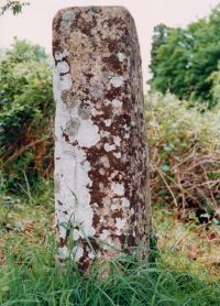 Ladywell Cross