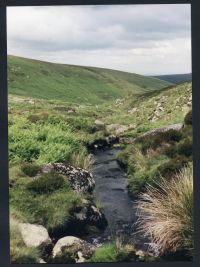 An image from the Dartmoor Trust Archive