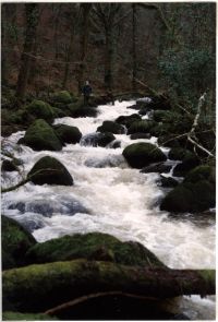 The River Bovey