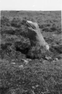 An image from the Dartmoor Trust Archive