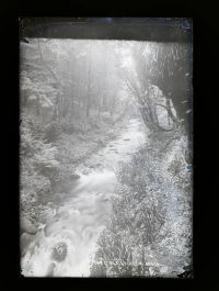 The Gorge, Lydford