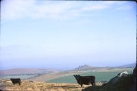 Hound Tor from Honeybag Tor