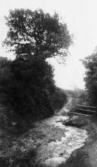 An image from the Dartmoor Trust Archive