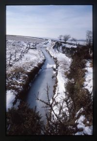 Ice on the Devonport Leat