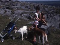 An image from the Dartmoor Trust Archive