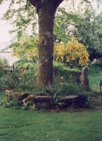 Buckland in the Moor Plinth