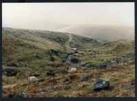 An image from the Dartmoor Trust Archive