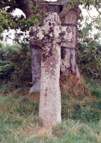 HAWSON CROSS, BUCKFASTLEIGH