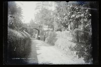 Luscombe Arch, Dawlish