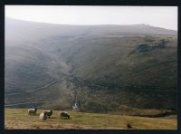 An image from the Dartmoor Trust Archive