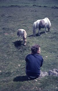 An image from the Dartmoor Trust Archive